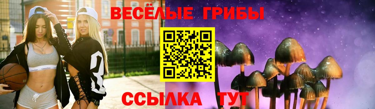 Псилоцибиновые грибы прущие грибы  Вход с VPN  Десногорск 